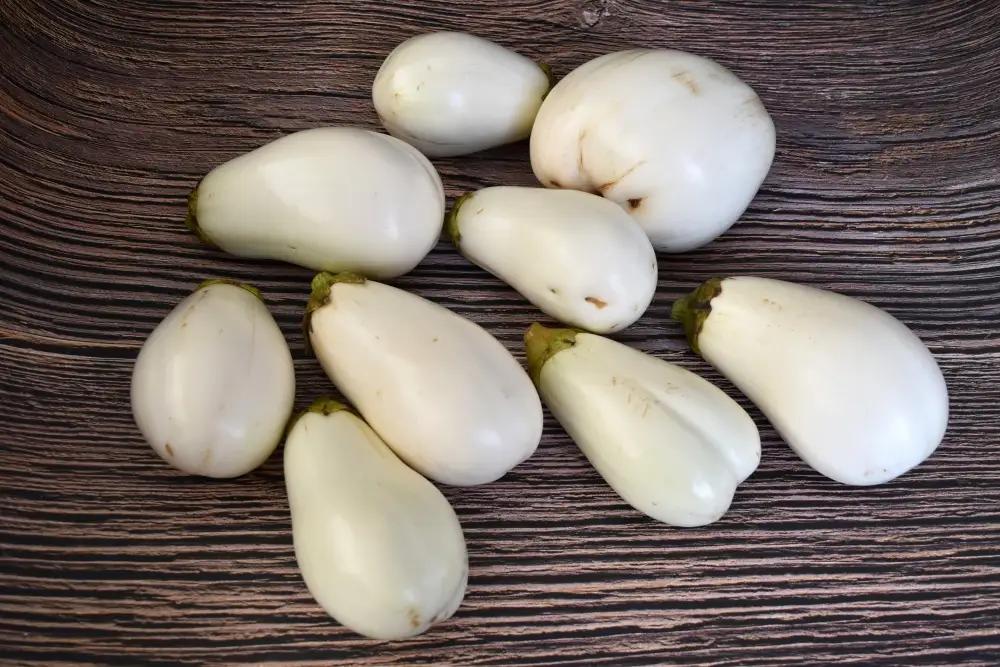 茄子 【訳あり】とろ～り旨なす(白茄子) 約2kg 8～9個【2026年7月初旬～9月末頃順次発送】奈良県 葛城市【bfrk002】