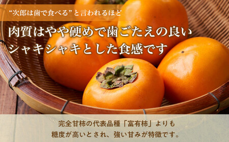 【令和8年産柿/先行予約】訳あり 10kg 多気町発祥 前川次郎 柿