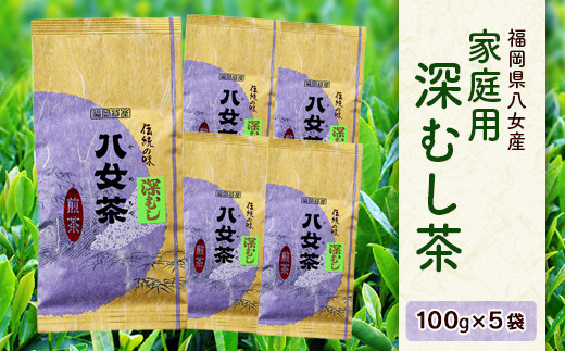 
福岡県八女産 家庭用 深むし茶 100g × 5袋セット

