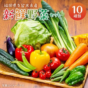福岡県久留米市産 新鮮野菜セット_福岡県 久留米市産 新鮮野菜 セット 10品目 約10kg 旬の野菜 詰め合わせ 新鮮 季節 野菜 水菜 小松菜 ほうれん草 アスパラ キャベツ オクラ レイシ トマト 胡瓜 ニラ 玉葱 インゲン 茄子 春菊 ブロッコリー 大根 旬 料理 久留米市 冷蔵 お取り寄せ 送料無料 〔Gv025〕