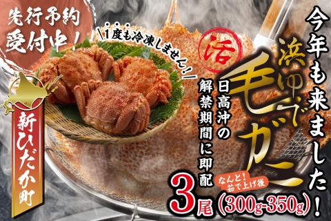 ＜2025年1月中旬から順次発送＞ 北海道産 かに 浜ゆで 毛がに 3尾 計 900g 以上 ＜予約商品＞ 毛蟹 毛ガニ 北海道 冷蔵 けがに かに味噌 カニ味噌 ボイル 新ひだか町