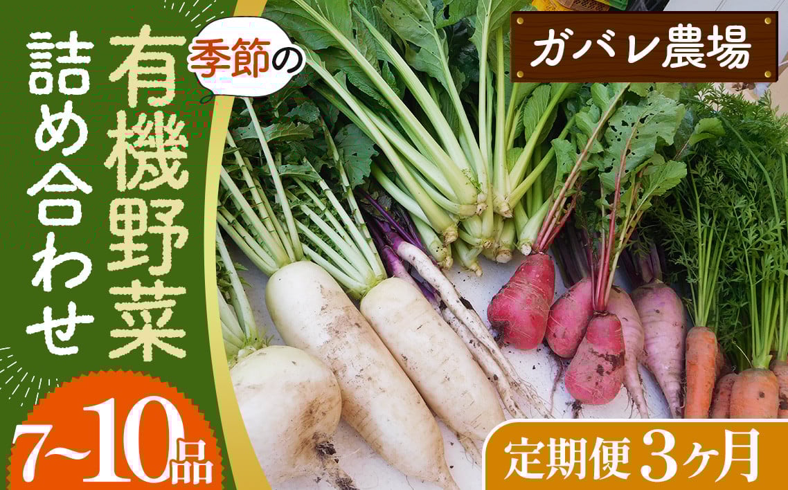 
            No.527 【有機野菜の定期便3ヶ月】ガバレ農場の季節の有機野菜詰め合わせセット ／ 有機JAS認定農場 採れたて 新鮮 詰合せ 埼玉県
          