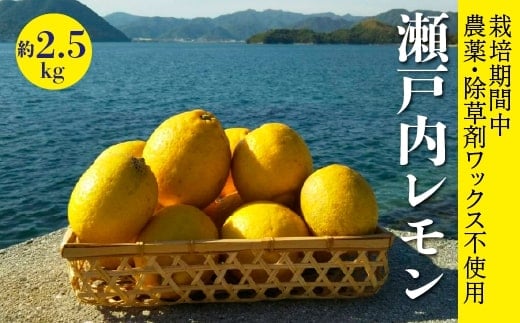 
            レモン【先行受付】【2025年12月以降発送】【栽培期間中 農薬・除草剤不使用】離島 佐木島！レモン 約2.5kg   広島 三原 佐木島 鷺島みかんじま 017037
          