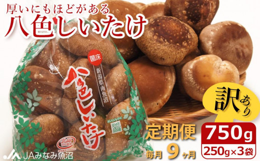 【JAみなみ魚沼定期便】家庭用「八色しいたけ」（750g×全9回） ≪訳あり 不ぞろい 農家応援 厚いにもほどがある 定期便しいたけ 南魚沼 厚い 家庭用 農家応援 きのこ 食材 グルメ 料理 家庭料理 新潟県 特産品 国産 野菜 冬季 食材≫