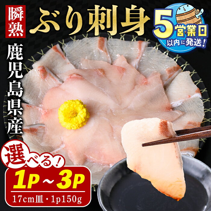 【ふるさと納税】【期間限定】＜すぐ届く！＞【内容量が選べる】鹿児島県産 瞬熟ぶり刺身 17cm皿 計150g(1P)～計450g(150g×3P) 冷凍 魚 魚介 海鮮 ぶり スライス 刺身 養殖 国産 鹿児島 垂水【有限会社 森水産】