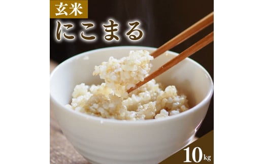 玄米 10kg にこまる お米 栽培期間中農薬不使用 安心 安全 こだわり栽培 ビタミン ミネラル 食物繊維 豊富 おにぎり お弁当 ブランド米 徳島県 阿波市 米笑