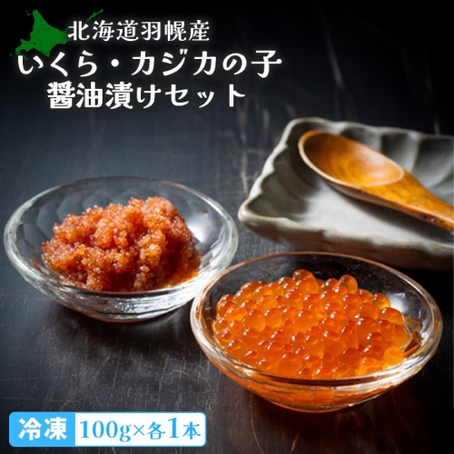 北海道羽幌産　いくら・カシカの子醤油漬けセット（100g×各1本）【冷凍】【06014】