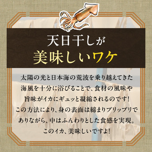 イカ 青森県産 一本釣りいか 使用 鰺ヶ沢 名物 天日生干しイカ セット （1.8kg以上8枚～12枚入り） いか 干物 干物セット するめ スルメ スルメイカ 海鮮 魚介類 魚介 海産物 ※ ご入金