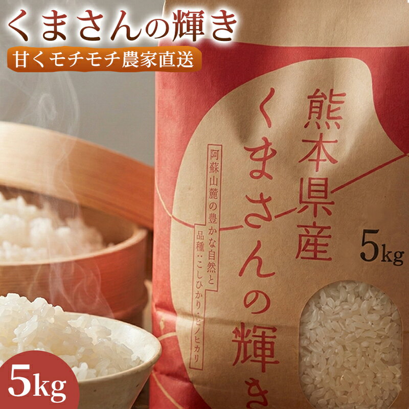 【ふるさと納税】【極良食味】熊本県産くまさんの輝き 5kg 1セット｜15年育成の甘み際立つブランド米 米 国産米 ブランド米 農園直送 家庭用 ギフト お取り寄せ 熊本県　お届け：2026年11月21日～2027年10月30日