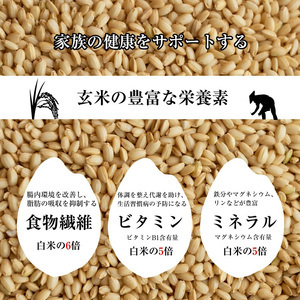 玄米 ごはん 夢つくし  PREMIUM パックごはん 160g×24食 M543-2