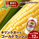 【ふるさと納税】2024年夏発送 キリンラガービール 350ml 12缶＆黄色いとうもろこしゴールドラッシュ12本 北海道千歳産 野菜 とうもろこし とうきび キリンビール 麒麟ビール ビール 【北海道千歳市】ビール ギフト ふるさと納税 KIRIN