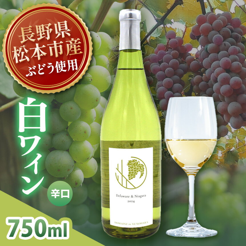 【ふるさと納税】Delaware ＆ Niagara 2024(デラウェア×ナイアガラ) 1本 750ml｜ワイン 信州 白ワイン 辛口 ぶどう デラウェア ナイアガラ 長野県 松本市 老舗 ワイナリー 定番 わいん 酒 おさけ さけ アルコール