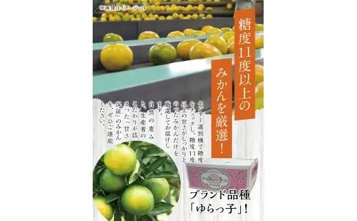 【糖度11度以上!】ゆら早生みかん「ゆらっ子」5kg ※2026年10月上旬～10月下旬頃に順次発送予定(お届け日指定不可) / 極早生 早生 由良町 和歌山県 柑橘 密柑 完熟 甘い ミカン 光セン