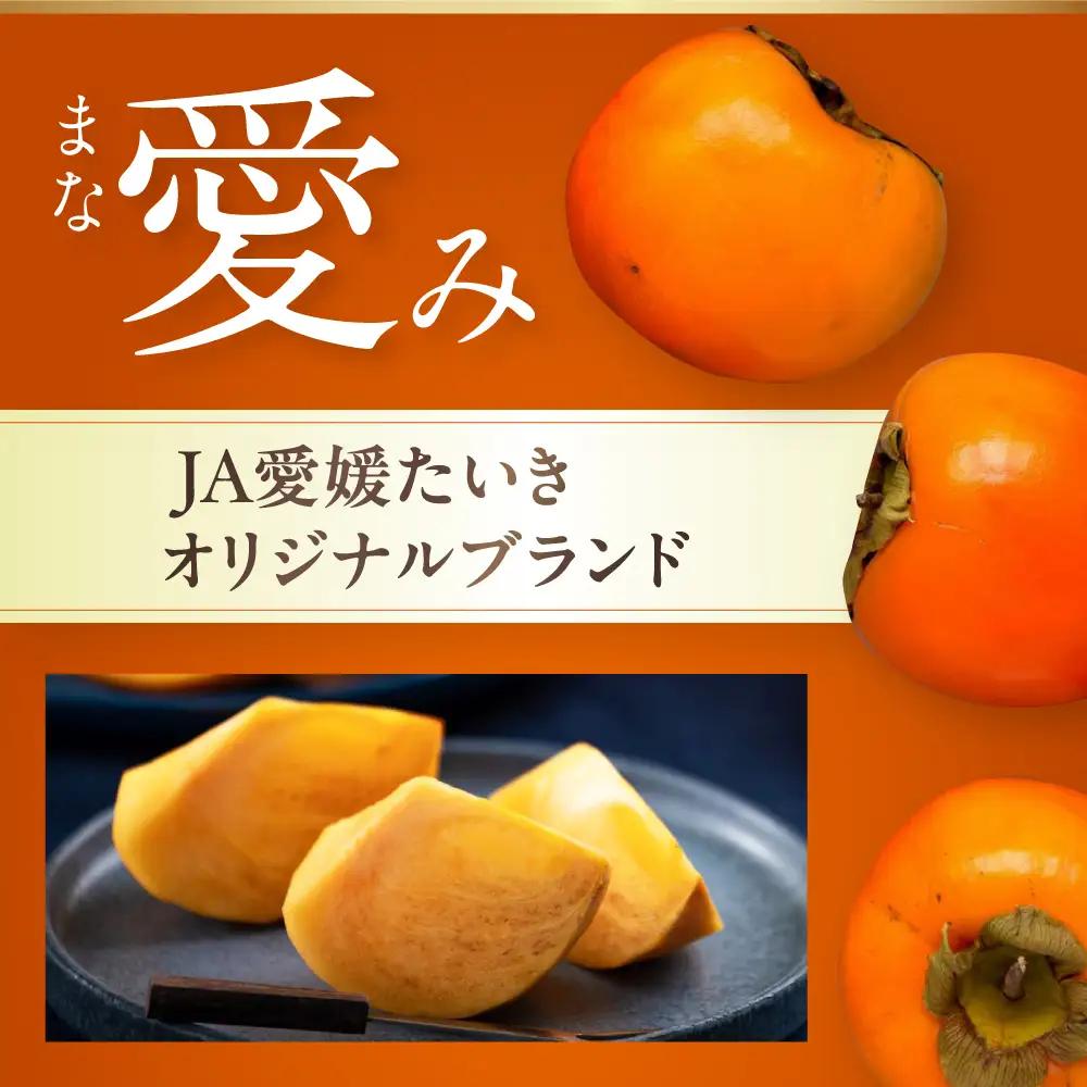 柿 富有柿 2L玉サイズ　約3kg  BKAL002