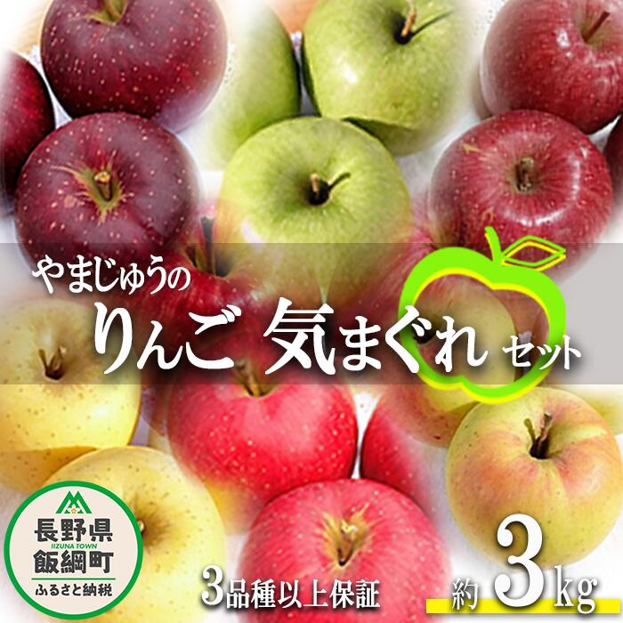 【ふるさと納税】 りんご 3品種以上保証 気まぐれセット 3kg 詰め合わせ セット やまじゅうファーム 沖縄県への配送不可 令和7年度収穫分 環境にやさしい 減農薬栽培 長野県 飯綱町 【 信州 果物 フルーツ リンゴ 林檎 長野 】発送時期：2025年11月中旬〜2025年12月下旬