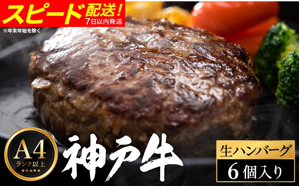 神戸牛 生ハンバーグ （100g×6個）
