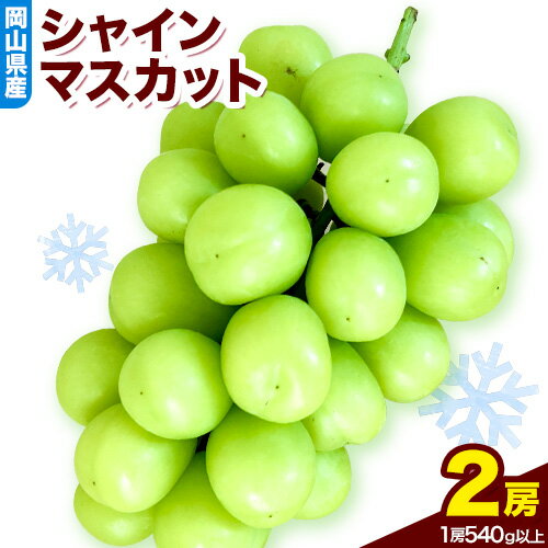 【ふるさと納税】【2026年発送先行予約】岡山県産 冷蔵シャインマスカット（1房540g以上2房入り） 《2026年11月下旬-12月中旬頃出荷》 【配送不可地域あり】