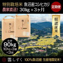 【ふるさと納税】【令和6年産】定期便！農家直送！県認証特別栽培魚沼産コシヒカリ【合計90kg】毎月30kg×3回　定期便・ 精米 ご飯 ブランド米 銘柄米 　お届け：ご入金確認の翌月以降、発送いたします。