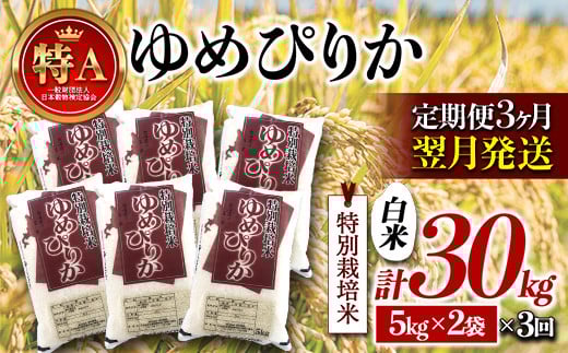 《3カ月定期便》北海道産 特別栽培米 ゆめぴりか 令和7年産 10kg 翌月発送開始 白米 南幌町 特A 今摺り米 NP1-411