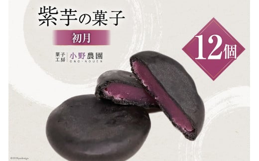 お菓子 筑紫野 初月12個入 [菓子工房 小野農園 福岡県 筑紫野市 21760730] 和菓子 個包装 芋菓子 いも菓子 おやつ スイーツ 紫芋 芋 お芋 むらさきいも