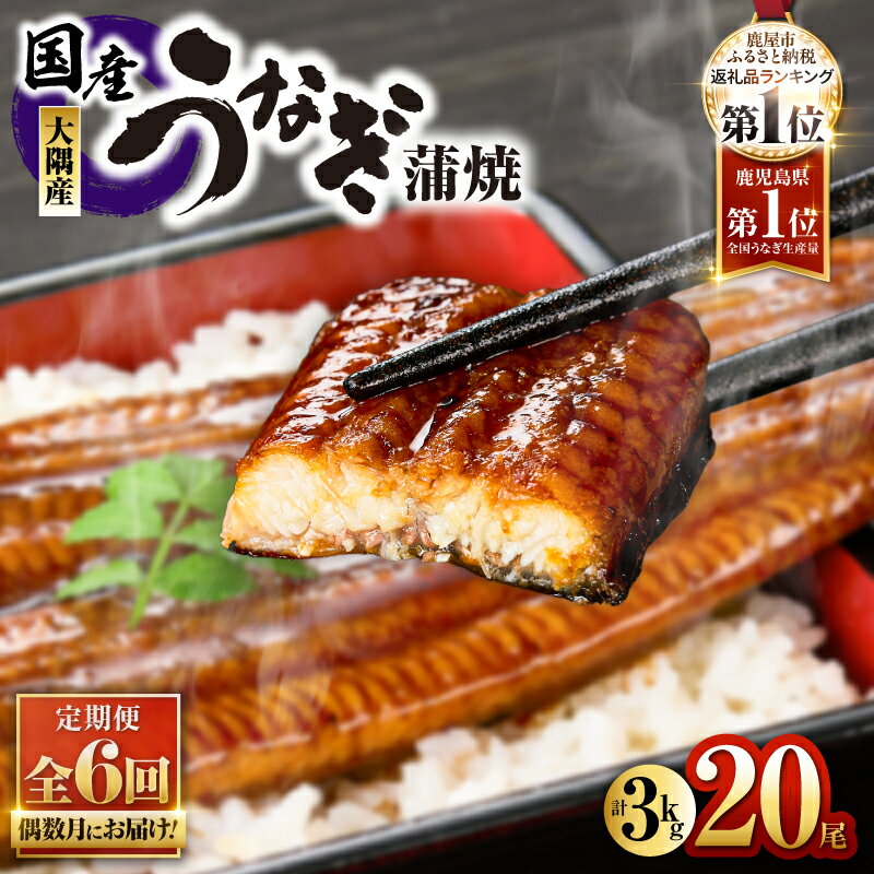 【ふるさと納税】 【定期便全6回・偶数月にお届け】 鹿児島県大隅産うなぎ蒲焼(計3kg・20尾、たれ・山椒付き) ＜国産＞ 無頭 ウナギ 蒲焼き 真空パック 急速冷凍 鰻丼 鰻重 ひつまぶし うなぎ 蒲焼 鰻【大隅地区養まん漁業協同組合】