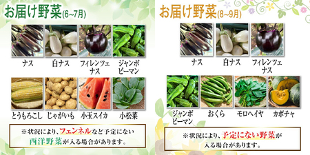 野菜セット 季節毎の新鮮野菜セット 詰め合わせ 旬 【野菜セット】【ho1537】