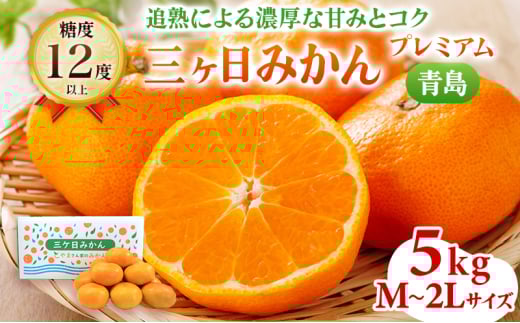 【2025年12月中旬より順次発送】三ヶ日みかん プレミアム（青島5kg）果物 柑橘 フルーツ デザート 食後 おやつ 糖度 箱詰め 濃厚 冬の味覚 静岡県産 産地直送 ビタミン サイズ混在 静岡県 浜松市[№5786-4775]