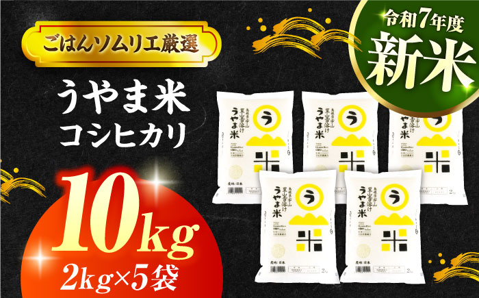 【令和7年産】【新米】雪解け水で育った 島根県産「うやま米コシヒカリ（雲南市吉田町）」10kg(2kg×5) 島根県松江市/有限会社藤本米穀店 [ALCG012]