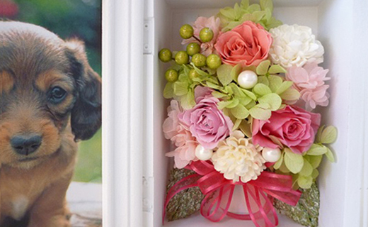 プリザーブドフラワー　フラワーフォトボックス（ピンク）【14000501】