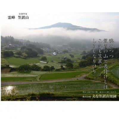 ふるさと納税 恵那市 冷凍むき栗　えな笠置山栗園産日本栗　250g×4パック |  | 03