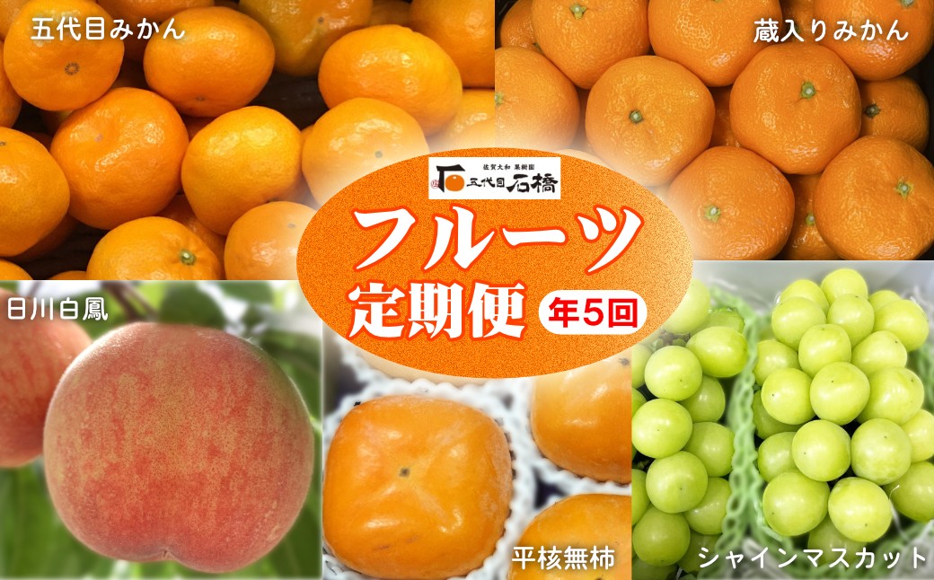 
                  【定期便セット】石橋果樹園のフルーツ定期便 年5回（みかん2、桃、シャインマスカット、柿）
                