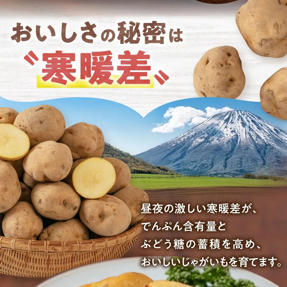  【先行予約】じゃがいも キタアカリ 10kg じゃがいも AJAK010