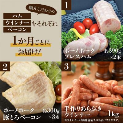 ふるさと納税 下呂市 【定期便 3回】飛騨味職人「ボーノポーク満喫定期便」定期 毎月 3カ月【57-E】 |  | 01