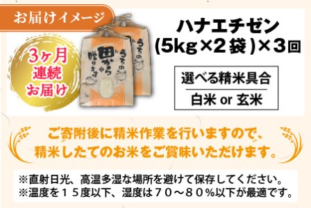 【先行予約】【令和8年産・新米】定期便 ≪3ヶ月連続お届け≫ ハナエチゼン10kg×3回 計30kg ～本原農園からまごころコメて～（白米）【2026年9月上旬以降順次発送予定】 [H-8908]