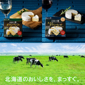 北海道よつ葉 チーズの詰合せE[№5891-0722]