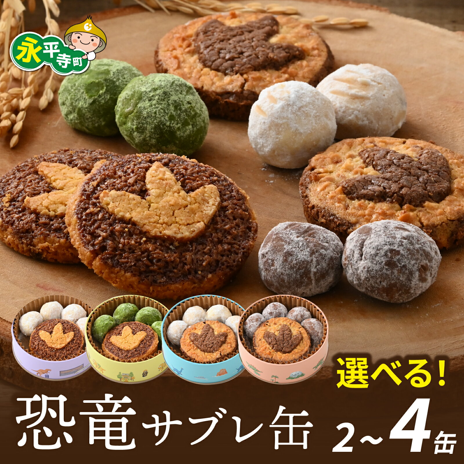 【ふるさと納税】 恐竜サブレ缶（小）2～4缶 【全4種から好きな缶を選べます】　／ 恐竜 きょうりゅう サブレ お菓子 クッキー 米粉 おかし 洋菓子 好きな味 選べる 詰め合わせ デザート 人気 おすすめ 永平寺 福井 福井県 坐禅 恐竜 北陸 [A-026034]