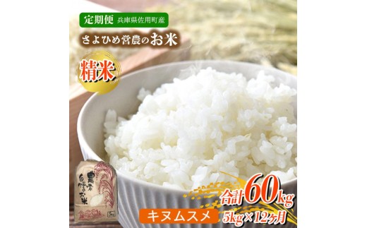 
                  【12ヵ月定期便】兵庫県佐用町産 お米 5kg×12ヵ月 (計60kg)  精米 キヌムスメ
                