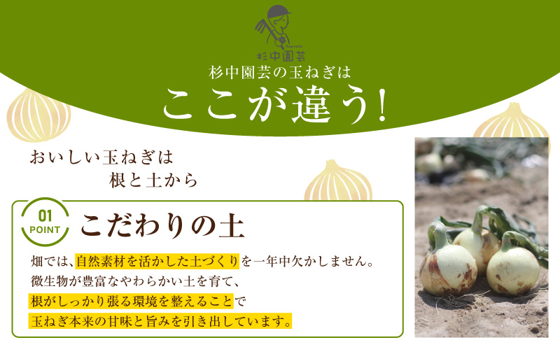 口に広がる優しい甘さの玉ねぎ ～真玉～　5kg(箱の重さ込み）・S097