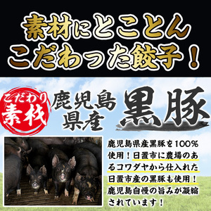 No.1327-n 鹿児島黒豚使用の黒豚生餃子(計36個・12個入り×3パック)国産 九州産 ぎょうざ ギョウザ 冷凍 黒豚 豚肉 お肉 おかず【末永商店】