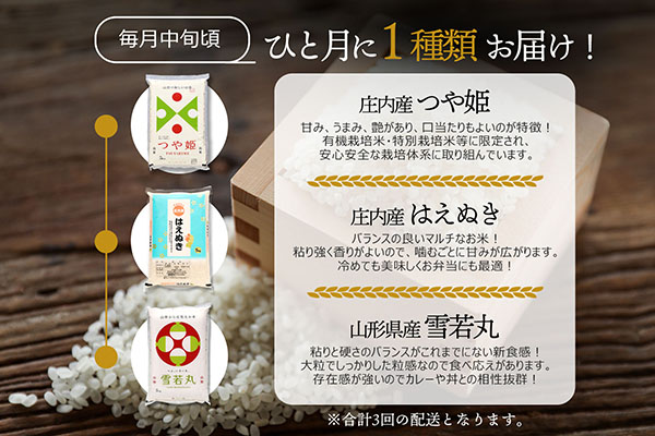 【3か月定期便】山形のブランド米 食べ比べ 毎月 5kg×1袋 1種 計15kg 令和7年産 つや姫 はえぬき 雪若丸 ブランド米 米 山形 庄内平野 コシヒカリの原点、亀の尾発祥の地 庄内 定期【6