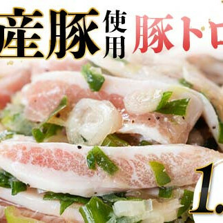 国産豚使用！豚トロ塩だれ 1,200g 国産豚 食感 脂身 秘伝 しおだれ フライパン ホットプレート 手軽 家庭 贅沢 お酒 つまみ おかず パーティー ジューシー 香ばしい お歳暮 お中元 F6T