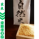 【ふるさと納税】【毎月定期便】自然米(玄米4kg)全3回【配送不可地域：離島・沖縄県】【4063605】