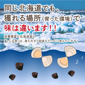 《14営業日以内に発送》サロマ湖産 冷凍しじみ 500g×3袋 ( 魚介類 貝類 しじみ シジミ  1.5キロ 冷凍 サロマ湖 カルシウム ビタミンB12 タウリン 鉄分 味噌汁 )【114-0008