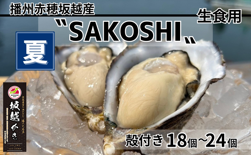 牡蠣 SAKOSHI 生食用 殻付き 18個～24個 2kg牡蠣ナイフ付き [ 坂越かき プレミアム 生牡蠣 夏牡蠣 かき カキ 三倍体 ]