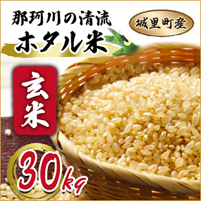 那珂川の清流ホタル米　玄米30kg 検査1等米令和4年産コシヒカリ　(玄米)【配送不可地域：離島】【1318089】