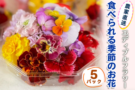 農家直送！加藤さんちのエディブルフラワー 5パック (1パックあたり季節のお花15輪から30輪)｜食用 花 お花 野菜 トッピング 付け合わせ [0764]