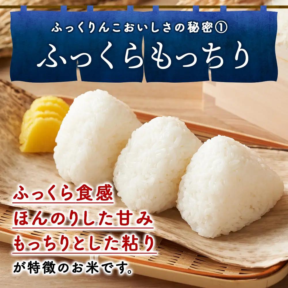 令和8年産！【9ヵ月定期便】北海道 木古内町産 ふっくりんこ 10kg