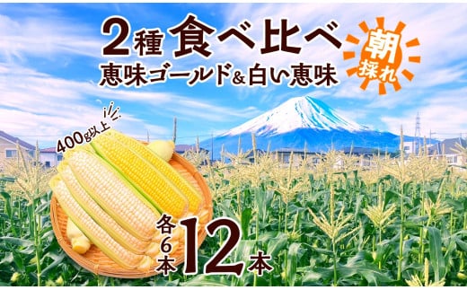 
            【レビューキャンペーン実施中】とうもろこし イエロー ＆ ホワイト 2種 食べ比べ 恵味ゴールド 白い恵味 400g以上 各6本 計12本 野菜 おやつ 旬 産地直送 送料無料 湖南野菜出荷組合 山梨県 富士河口湖町 新鮮 甘み ジューシー 夏 野菜セット 旬の味覚
          