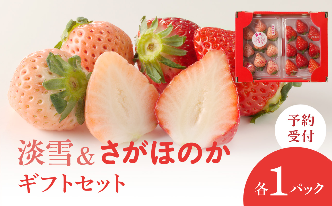 ★予約受付★杉山いちご農園 希少！白いちご「淡雪（あわゆき）」と「さがほのか」ギフトセット　2027年1月〜5月中に順次配送