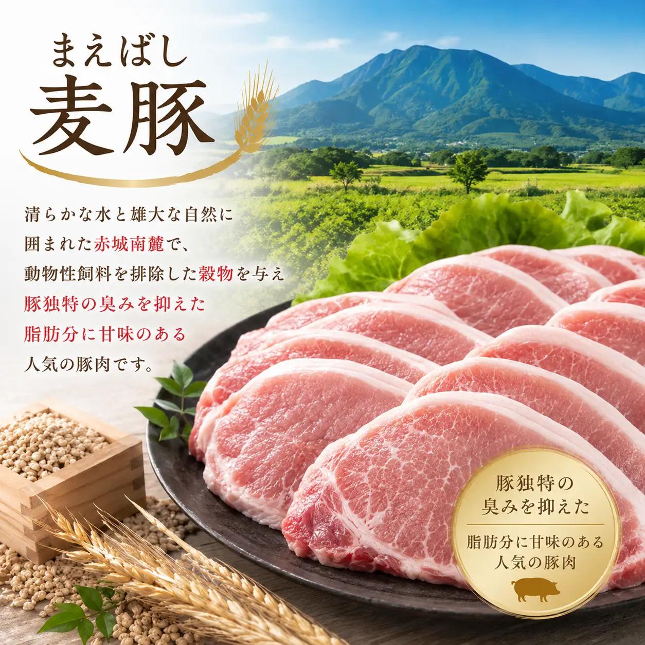 豚肉 麦豚肉 切り落とし 2.4kg 訳あり